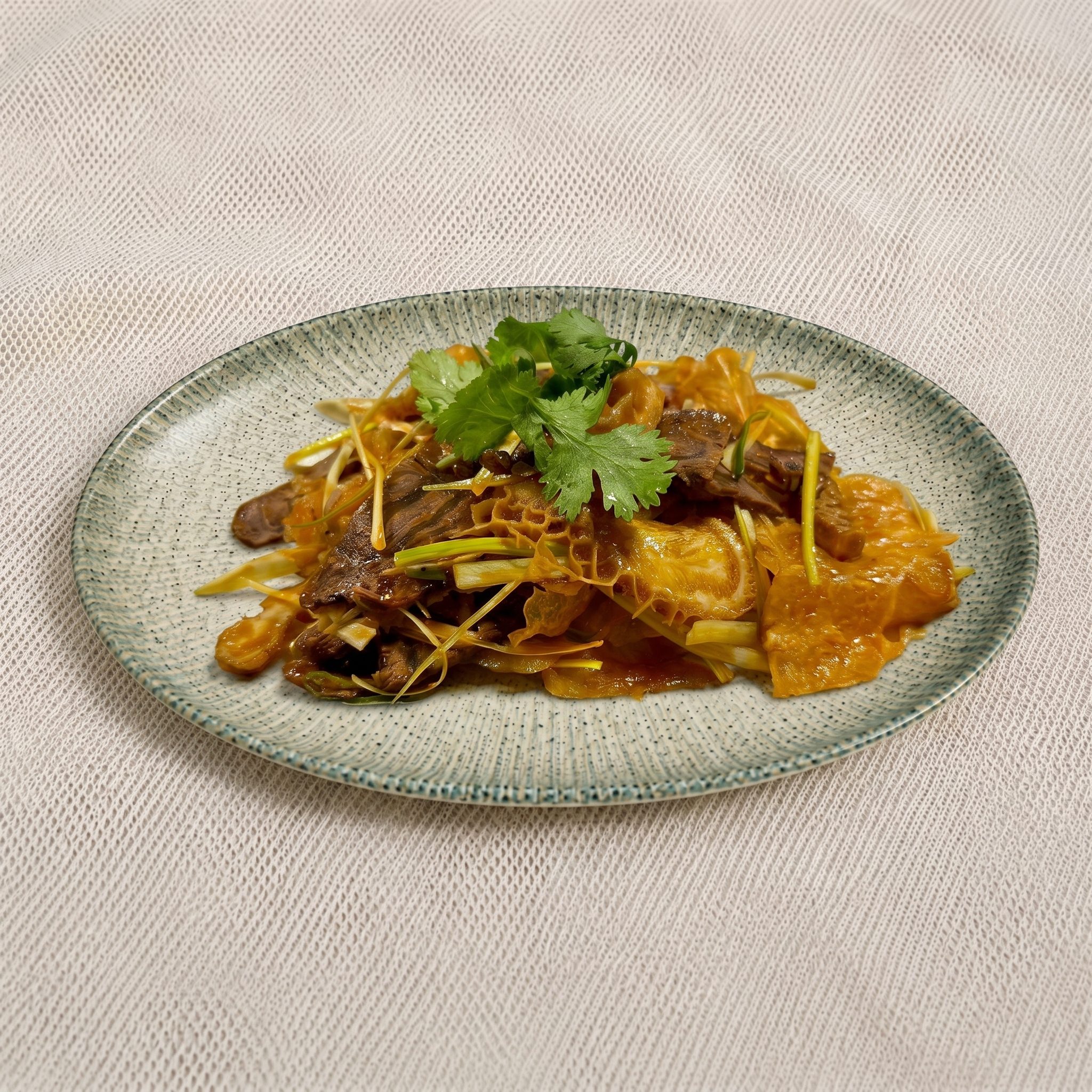 Sichuan Spicy Beef and Tripe / 夫妻肺片.